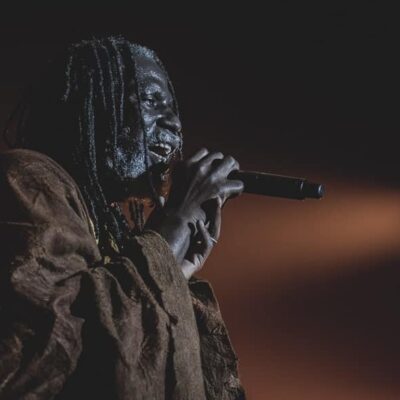 Chanteur sur scène avec micro.