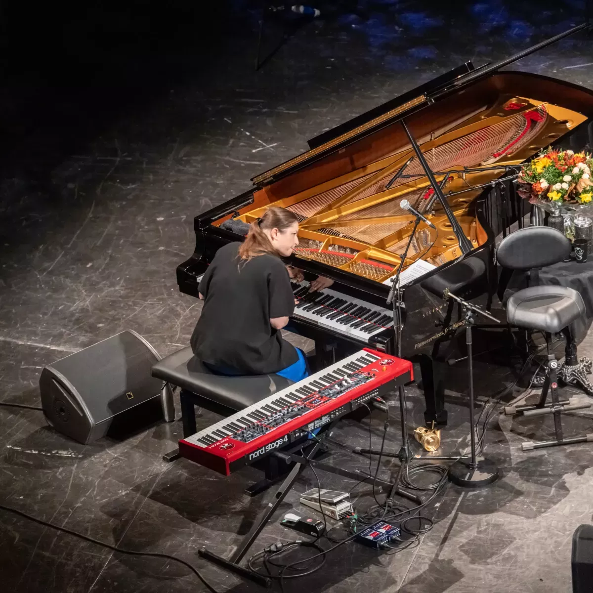 dee-dee-bridgewater-004-vincent-zobler