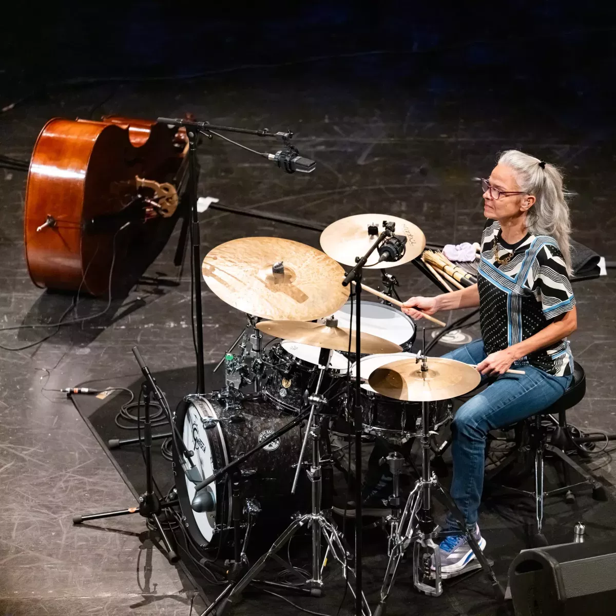 dee-dee-bridgewater-006-vincent-zobler
