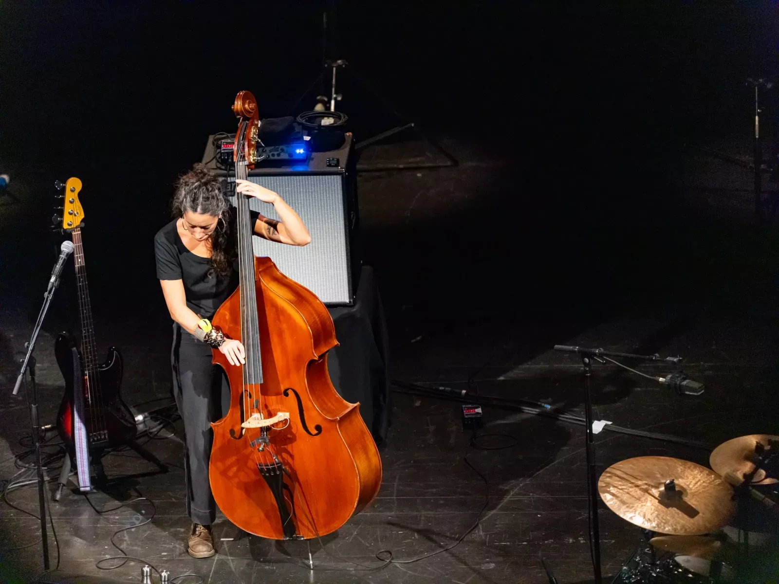 dee-dee-bridgewater-018-vincent-zobler