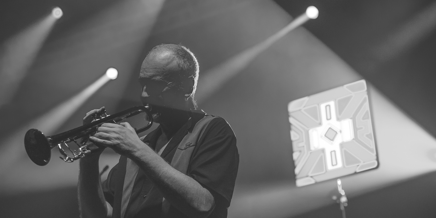 Les Negresses Vertes en Concert