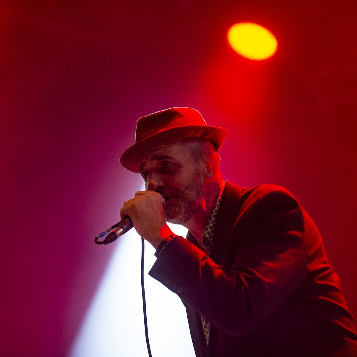 Les Negresses Vertes en Concert