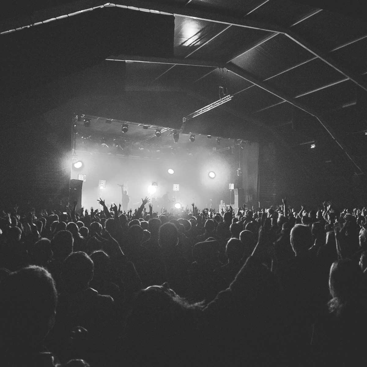 Les Negresses Vertes en Concert