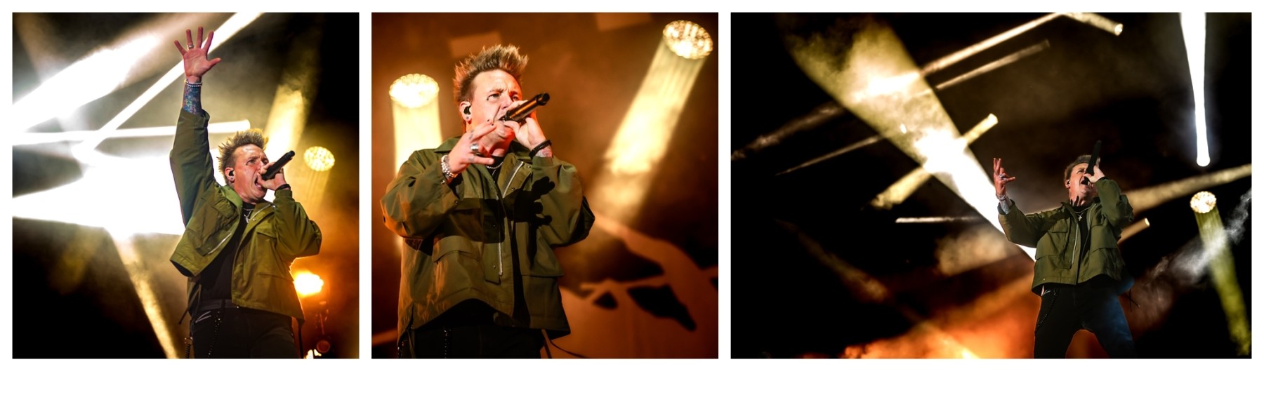 PAPA ROACH - Jardin du Michel