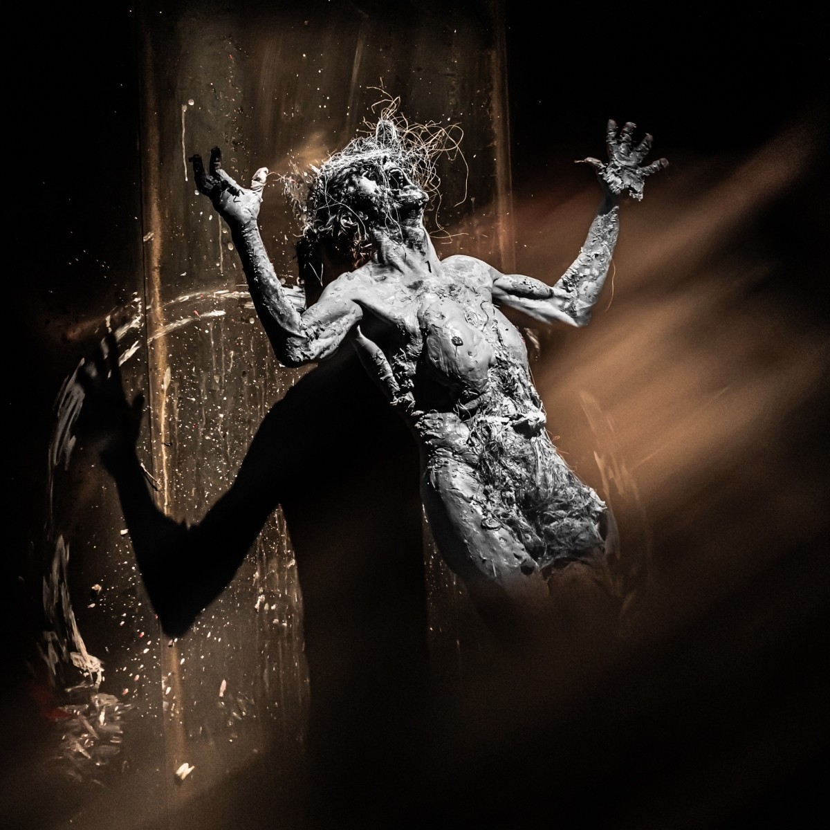 Transfiguration