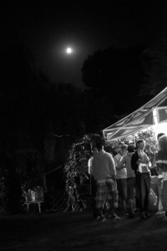 Soiree-Tournesol-2016-00021