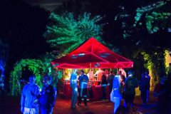 Soiree-Tournesol-2016-00045