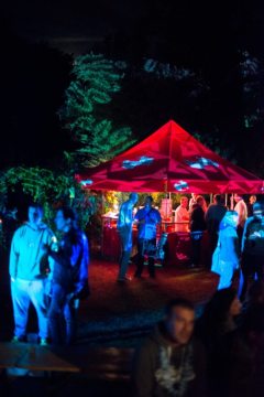 Soiree-Tournesol-2016-00046