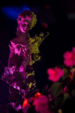 Soiree-Tournesol-2016-00069