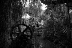 Soiree-Tournesol-2016-00073