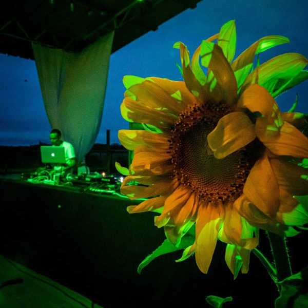 Tournesol-2021