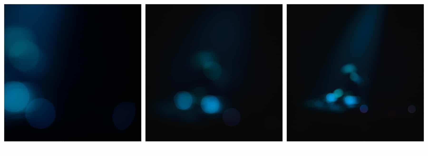 2023-01-31_0016