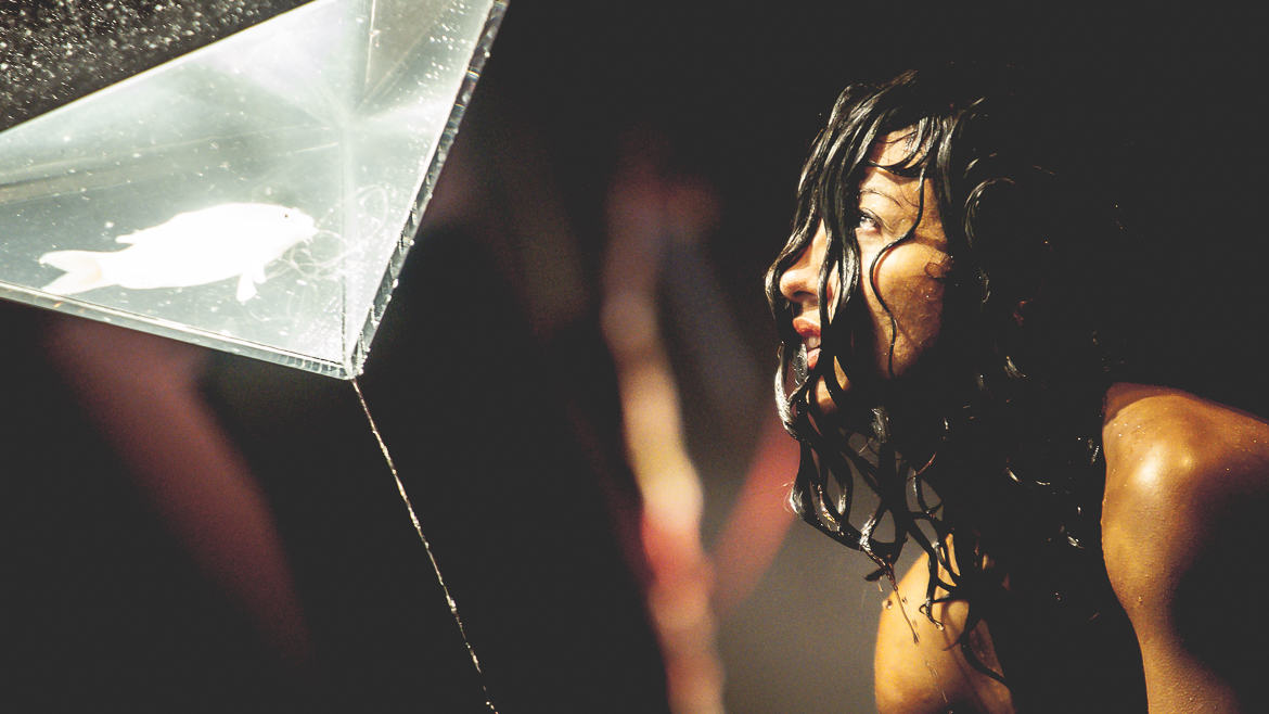 Femme regardant poisson dans un réservoir transparent.