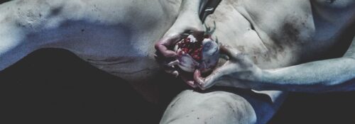 AJ Dirtystein Performeuse