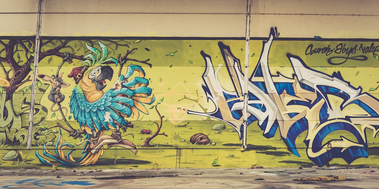 Fresque murale colorée avec perroquet et graffiti abstrait.