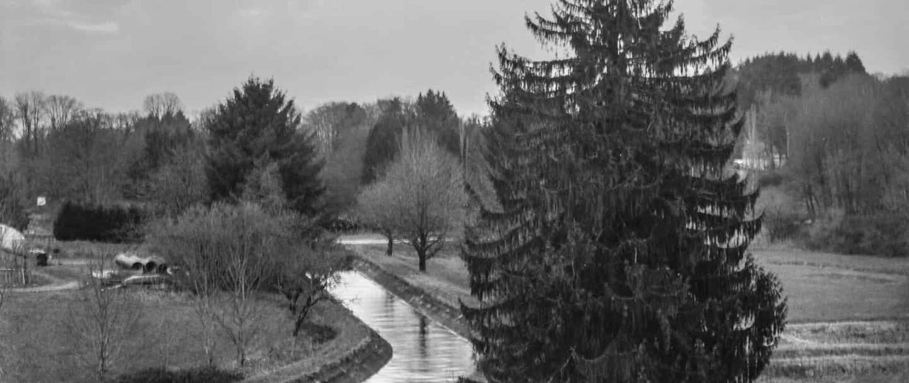 Comment charger une pellicule dans le Mamiya C330 ?