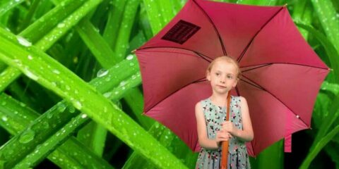 Fille avec parapluie rose, fond verdoyant.
