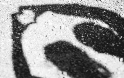 Vincent Zobler | Photographe à Nancy, France