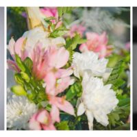 MARIAGE DE ÉMILIE ET MATTHIEU