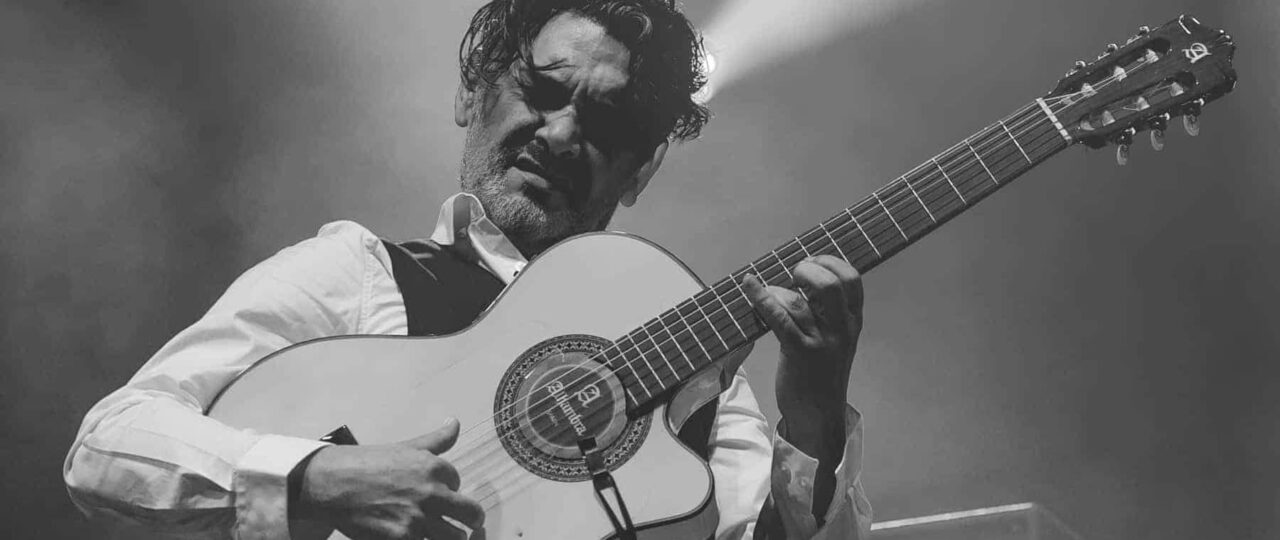 Les Négresses Vertes | LIVE NJP