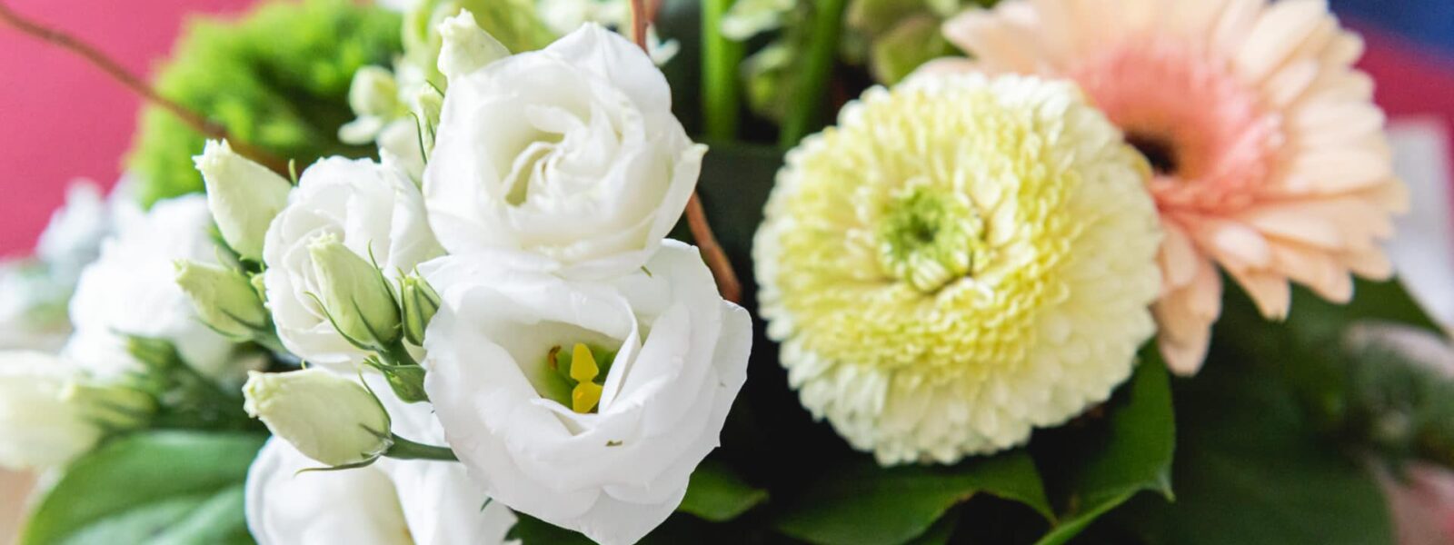 Bouquet de fleurs blanches et roses