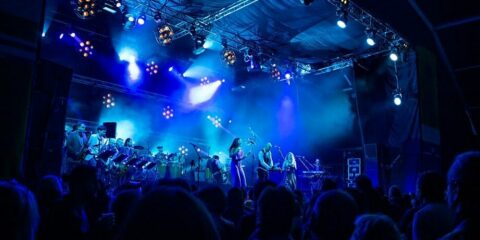 Image du groupe Who the Cuban lors d’un concert, illustrant leur fusion musicale unique.