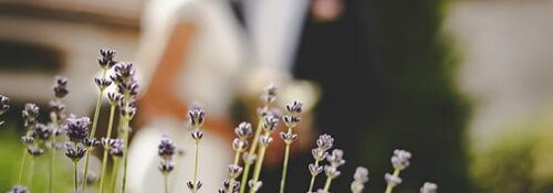 Mariage Clé En Main