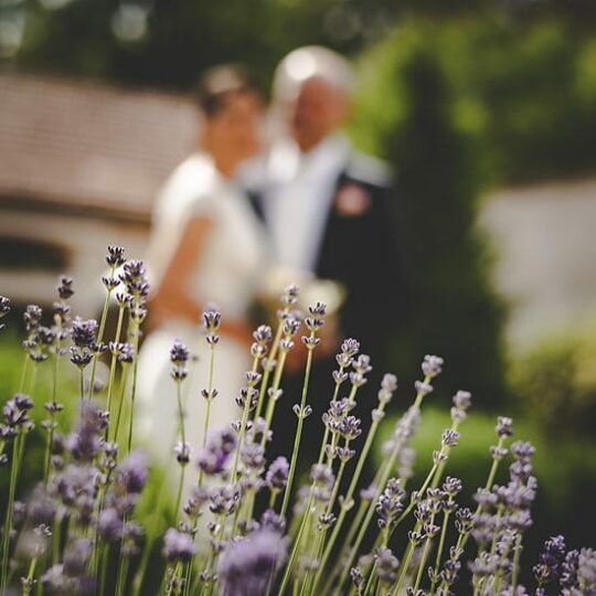 Mariage Clé En Main