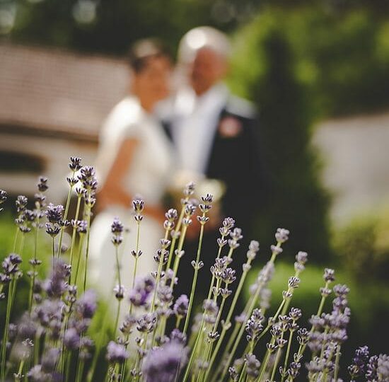 Mariage Clé En Main