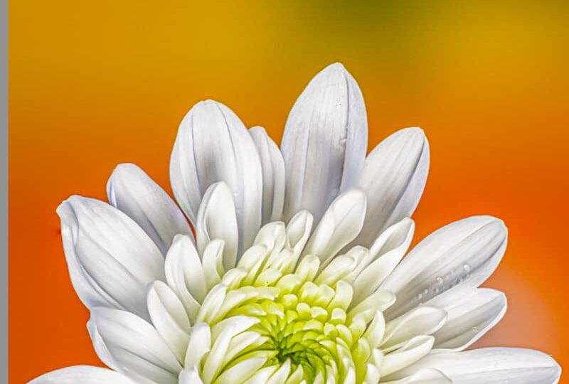 focus stacking lightroom résultat final
