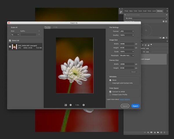 LE FOCUS STACKING en 2026 | Vincent Zobler - Photographe