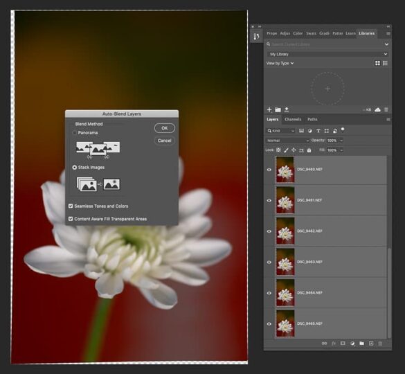 focus stacking photoshop selectionner le type dempilement