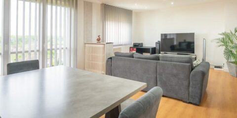 Salon moderne avec canapé et télévision.