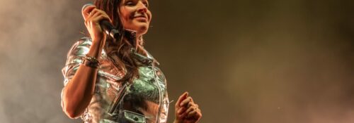 caravan palace jardin du michel 0007