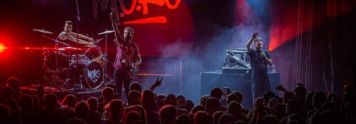 moko jardin du michel 0014