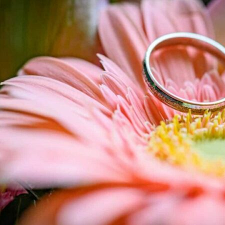 Bague sur fleur rose lumineuse
