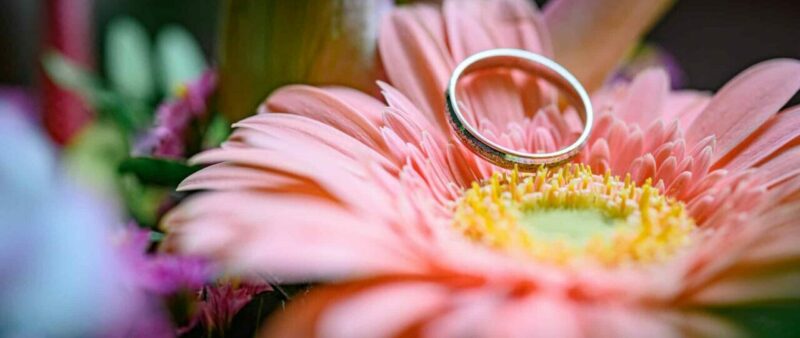 Bague sur fleur rose lumineuse