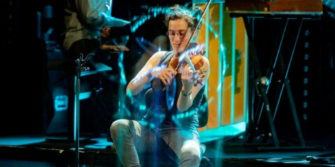 Le chapelier fou, Le chapelier fou concert, Le chapelier fou njp