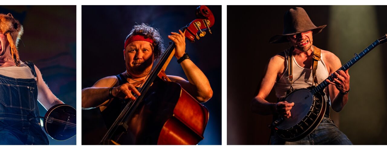 Seven&rsquo;n seagulls | LIVE JDM