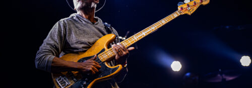 Musicien jouant de la basse sur scène.