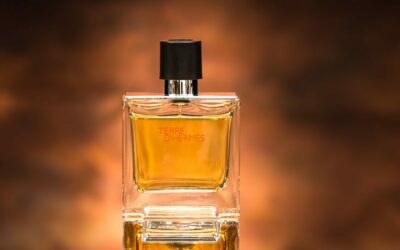 Flacon de parfum Terre d'Hermès sur fond flou.