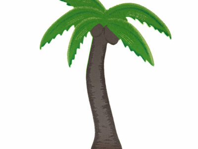 Illustration d'un palmier en fond blanc.