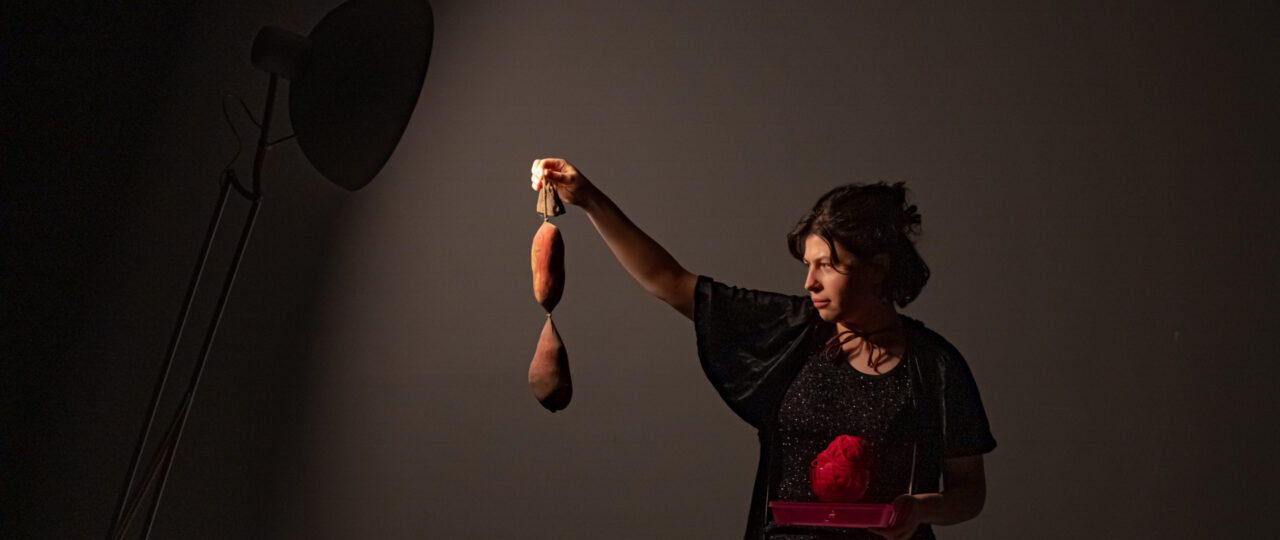 MICROPOLIS 2024 | Canines de Lait