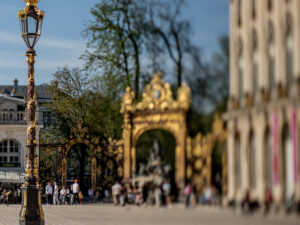 nikon pc-e micro nikkor 85mm f/2.8d,pce 85mm,pc-e 85mm,nikon 85mm,nikon pc-e,nikkor 85mm