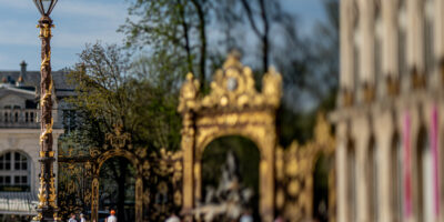 nikon pc-e micro nikkor 85mm f/2.8d,pce 85mm,pc-e 85mm,nikon 85mm,nikon pc-e,nikkor 85mm