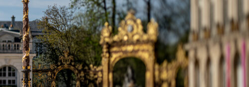 nikon pc-e micro nikkor 85mm f/2.8d,pce 85mm,pc-e 85mm,nikon 85mm,nikon pc-e,nikkor 85mm