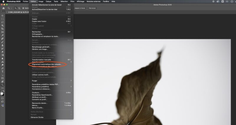 FOCUS STACKING EN 2025,FOCUS STACKING 2025