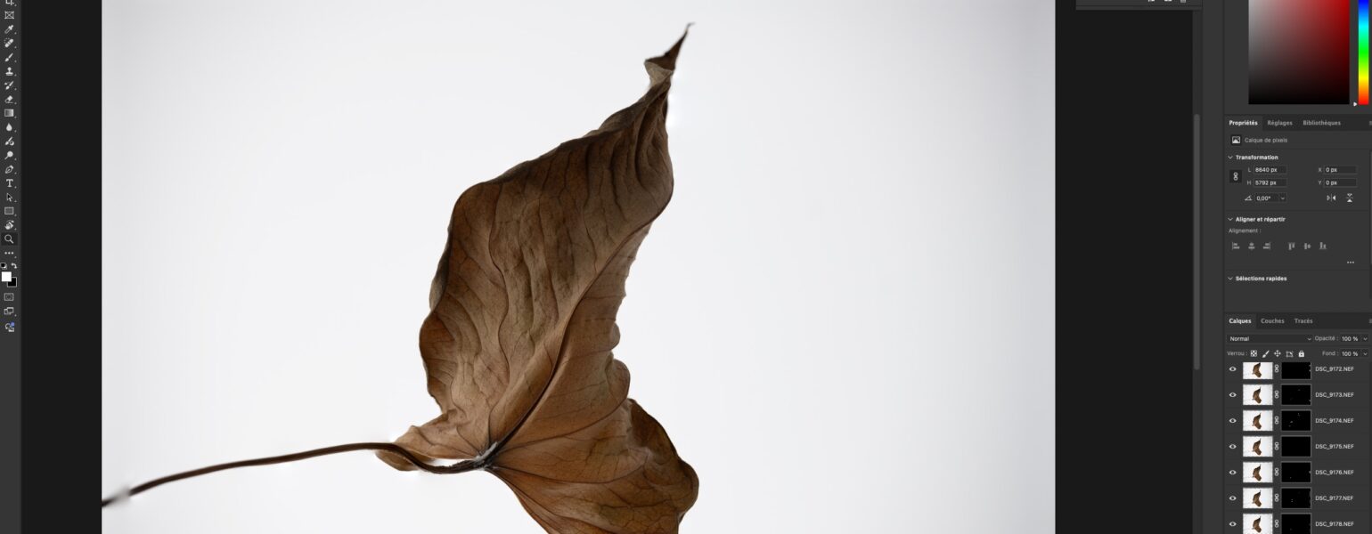 focus stacking en 2025