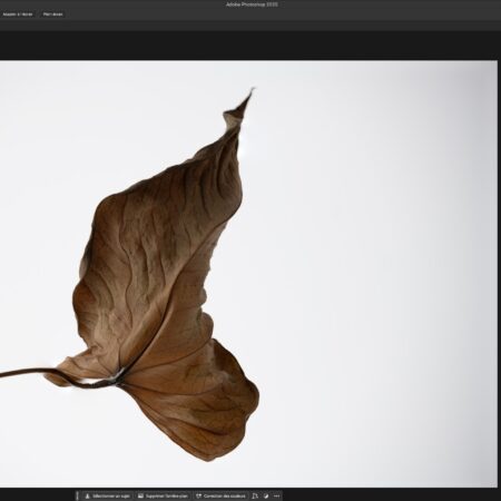 focus stacking en 2025