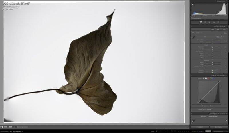 FOCUS STACKING EN 2025,FOCUS STACKING 2025
